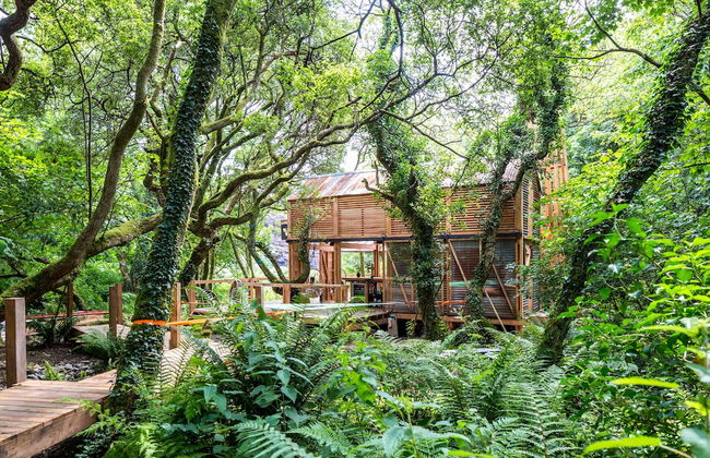 6 Person Cabin, Surrounded by Nature in Tintagel - Foto 24