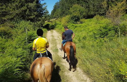 La Mia Valigia “Casetta Fragolina” - Foto 33