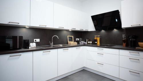 Großes zentrales Apartment Terrasse 2 Bäder - Foto 2, stove, dishwasher