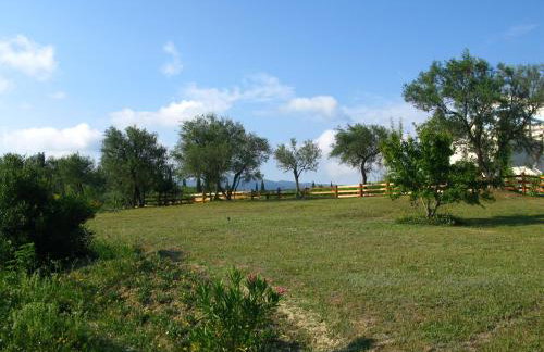 Aroggia Farm - Foto 31