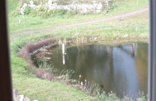 Dwór Klewiny - Foto 18