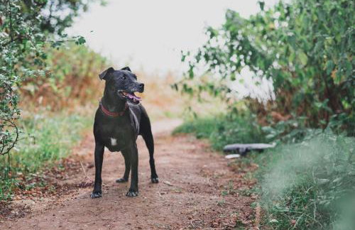 Railway Station Cottage - Foto 17