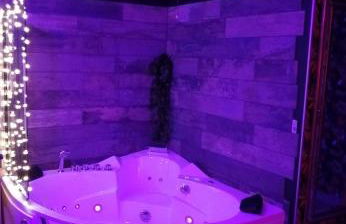 Romantisme et glamour 2 avec spa , clim et jardin - Foto 20