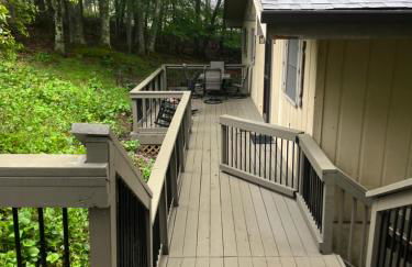 Beech Mountain Swiss-style Chalet - Foto 26