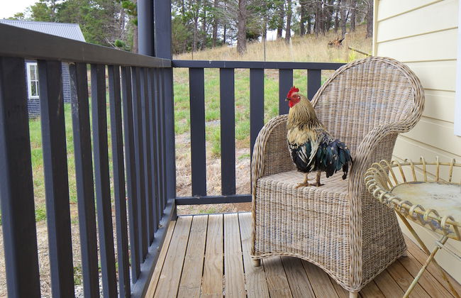 Riversdale Estate Cottages - Foto 23