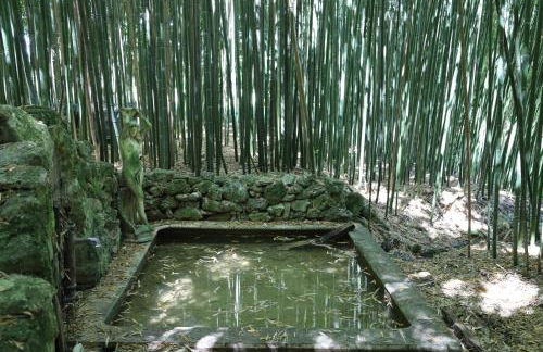 Le tarin des aulnes - Grand gîte Nénuphar - Photo 12