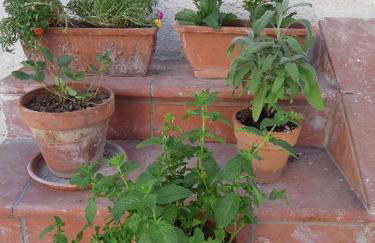 Fronte Mare - Foto 73