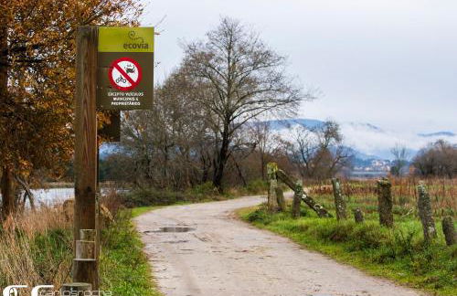 Casa da Tapada - Grupo Casas Vale do Lima - Photo 23
