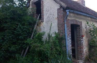 Les hirondelles - Foto 38