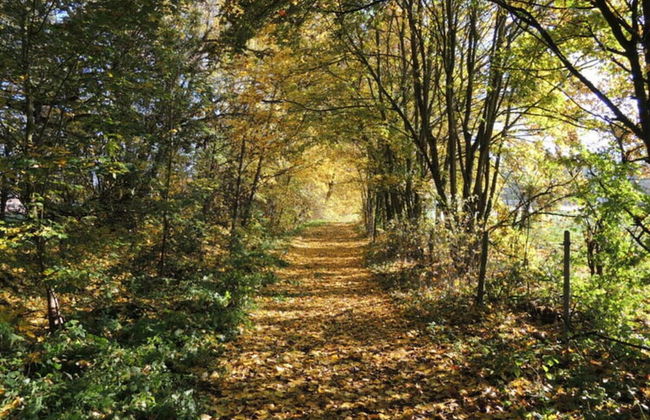 1 Mainblick Brigitte - Foto 7