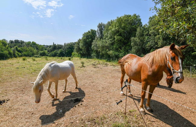 Gite in Holiday Park With Swimming Pool - Foto 38