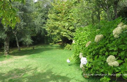 Casa do Mercador - Foto 20