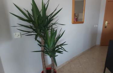 PRAIA DA ROCHA Appartement tout confort - Foto 19