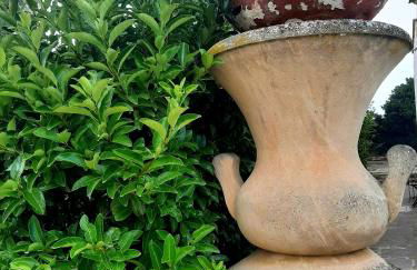 Villa Carrieri - Foto 70