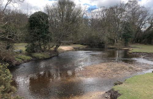 Oakapple Cottage - Photo 39