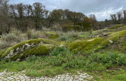 Casa dos Moinhos de Aveia - Foto 17