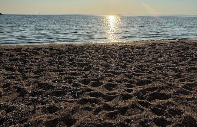 Zeus kır evi - Photo 67