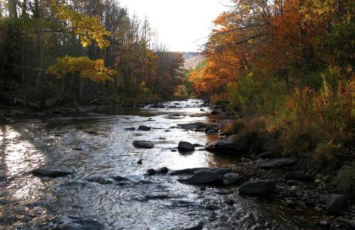 Rustic Couples' Cabin for Idyllic Catskills Getaway, Upstate New York - Foto 15