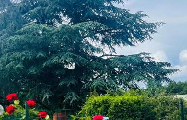 Casa Vacanze La Farfalla di Vittori Fabiola - Foto 22