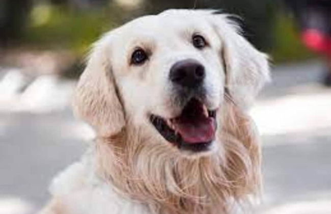 Tranquil Eifel Hideaway - Photo 22