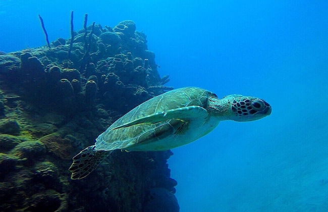 Windchime Estates - Photo 49