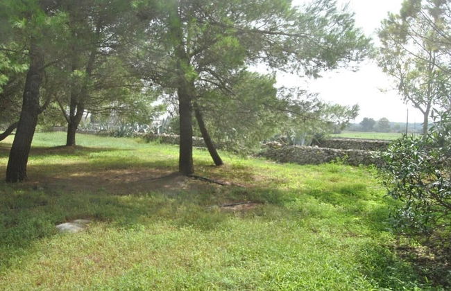 Masseria Frassaniti - Foto 28