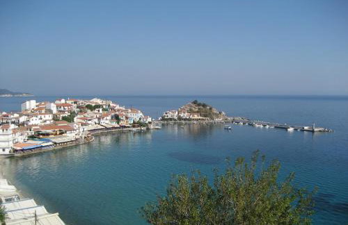 Kamelia - Foto 9