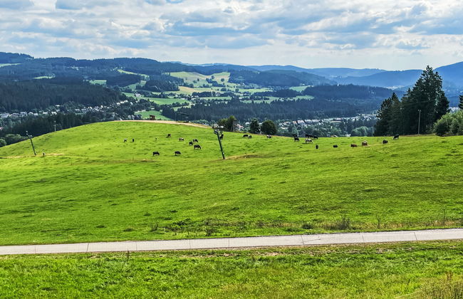 Mühlenmichelshäusle - Foto 31