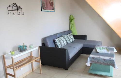 Gîte Ti Gwer - La Cour Chevalier - Foto 8