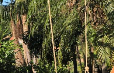 Sítio Rota 77 - Foto 5