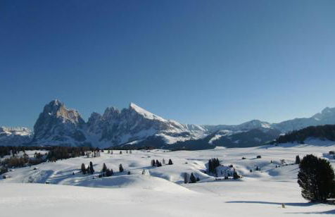 Camera Alpe di Siusi - Foto 69