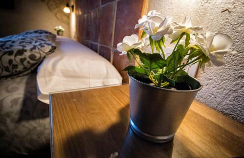 FINCA ENTREVIÑEDOS de Bodegas Marcos - Foto 66