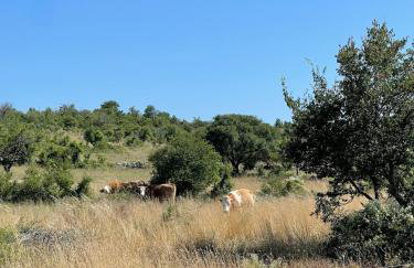 Villa Toni by BOTANICA Traditional stone house - Foto 38