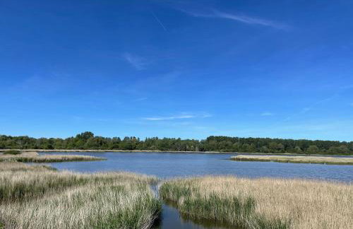 Ein-Steinwurf-zum-Ostseestrand-Ferienwohnung-Martha-mit-Terrasse - Foto 43