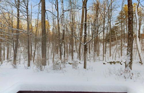 Newton Village 2B - Foto 23