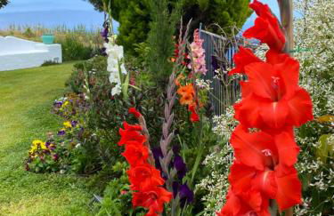 Casa de Prazeres - Foto 67