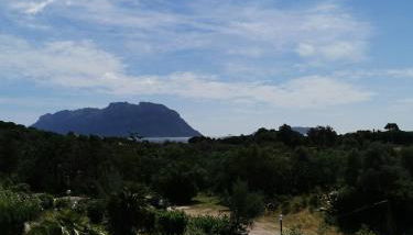 Vacanze da sogno a pochi km. da Olbia - Foto 5