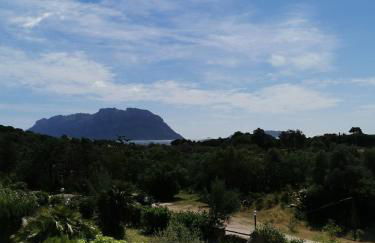 Vacanze da sogno a pochi km. da Olbia - Foto 5