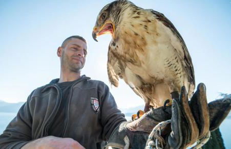 Villa Rosi - Foto 36