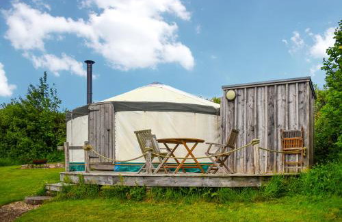 Russet Yurt - Ukc6945 - Foto 2