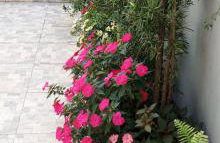 Casa bem te vi - Foto 27