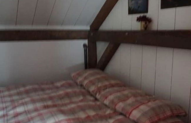 Secluded 6 Acre Property near Mountain Road - Foto 8