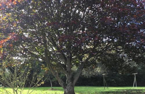 La longère d'Adèle Gîte de charme avec jacuzzi - Foto 33