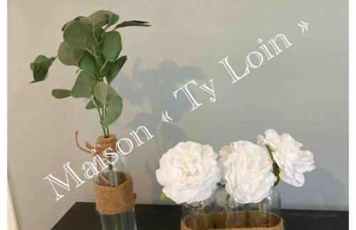 Villa Ty Loin vue mer 8 personnes - Foto 20