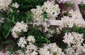 ROUTE 66 SPA - Foto 39