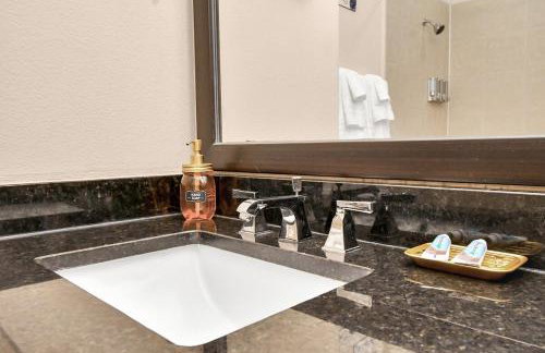 Miami Vice - 1BR-NRG-Medical Center-Galleria - Foto 44