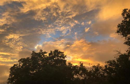 Perfect Country-Side Get-Away - Photo 29