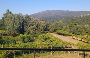 Casa Vinograd - Foto 22