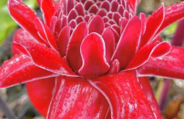 Pua Lani 2 Bedroom Home by RedAwning - Photo 89