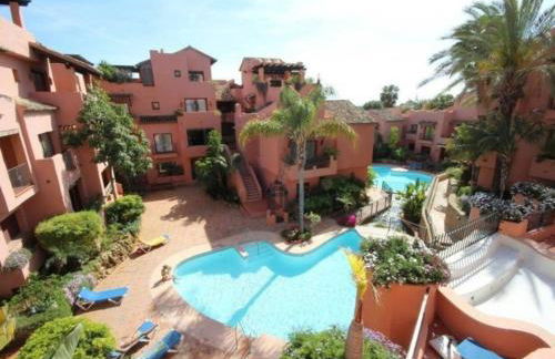 Estrelicia - Photo 31